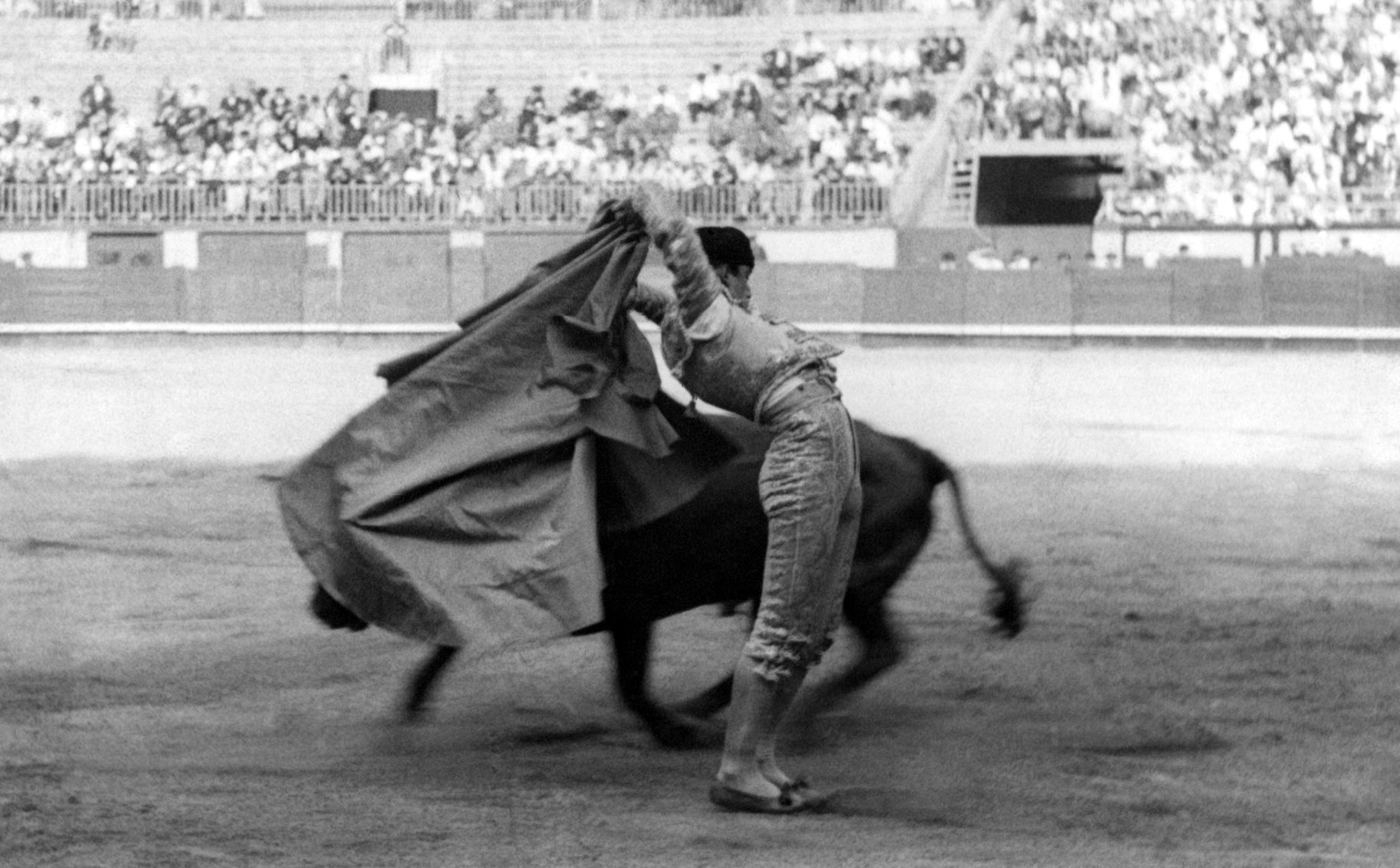 1939: Bullfighting